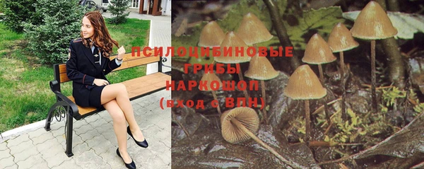 СК Кинешма