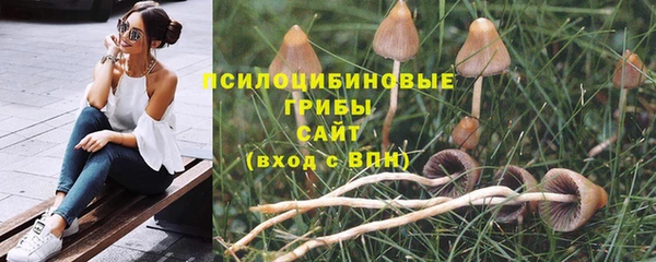 СК Кинешма
